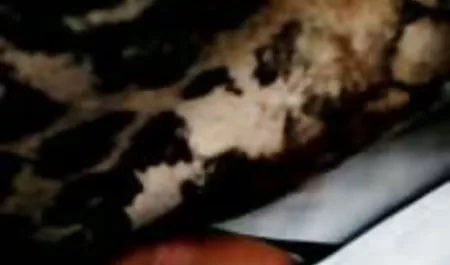 جوجه عکس سکس زنان کون گنده بیدمشک زیبای او را می خورد