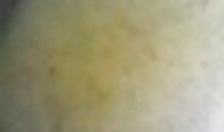 میوه ممنوعه عشق لزبین عكس سكسي كوس را امتحان کنید
