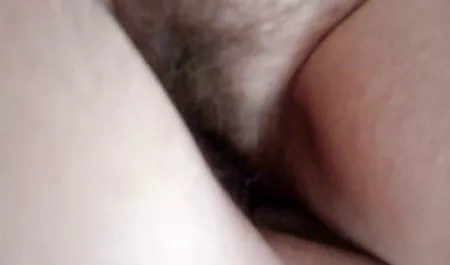 یک ماساژ ساده کیرکوس متحرک از ماساژ درمانی حیرت زده دریافت نمی شود