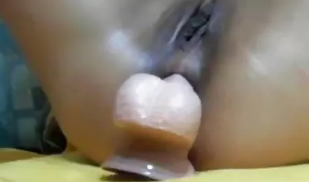 گربه در دفتر عکس سکسی کیردرکون